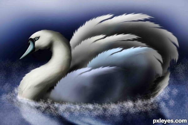 Creation of Blue swan: Step 12